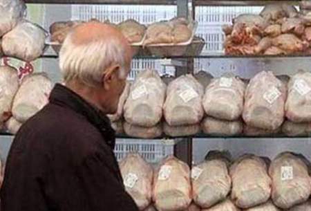 افزایش رسمی قیمت مرغ از اردیبهشت کلید می‌خورد