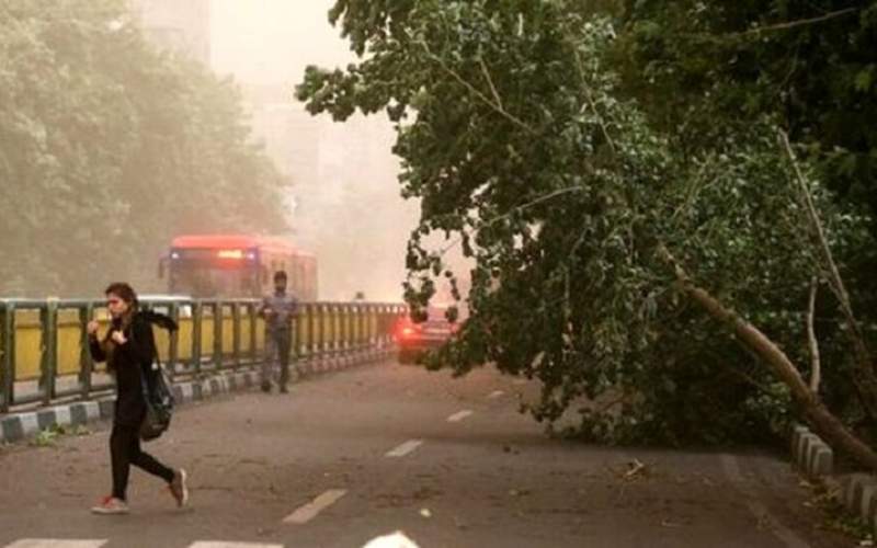 ۹ نفر در طوفان دیروز پایتخت مصدوم شدند