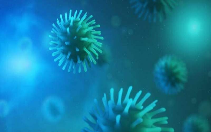 کشف بیش ۵ از هزار ویروس جدید در اقیانوس‌ها