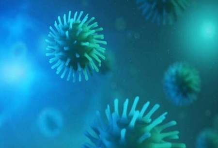 کشف بیش ۵ از هزار ویروس جدید در اقیانوس‌ها