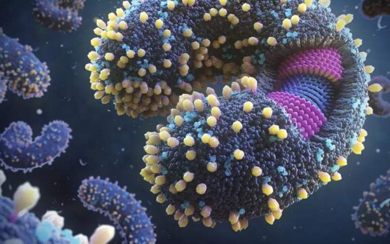 آیا منشاء پیدایش ویروس‌ها اقیانوس است؟