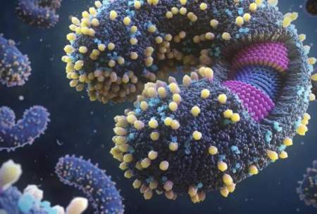 آیا منشاء پیدایش ویروس‌ها اقیانوس است؟