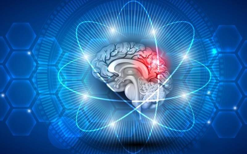 شروع آلزایمر با حمله مولکول‌های چربی به مغز