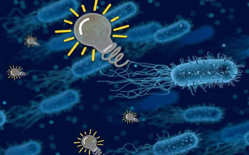 باکتری‌هایی که از متان برق تولید می‌کنند