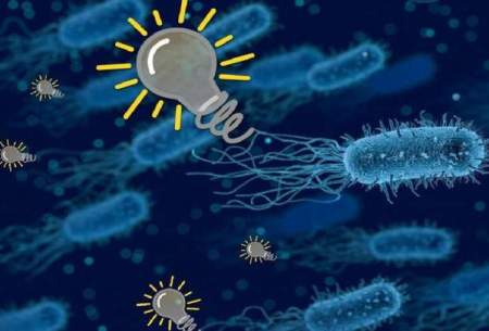 باکتری‌هایی که از متان برق تولید می‌کنند