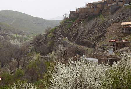 طنازی بهار در روستای مایان طرقبه  <img src="https://cdn.baharnews.ir/images/picture_icon.gif" width="16" height="13" border="0" align="top">