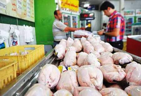 دولت به هشدار تولیدکنندگان مرغ بی اعتناست