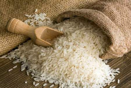 دلال بازی دلیل افزایش قیمت برنج ایرانی