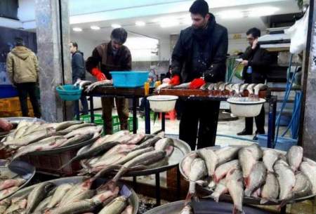قیمت روز انواع ماهی در بازار امروز/جدول