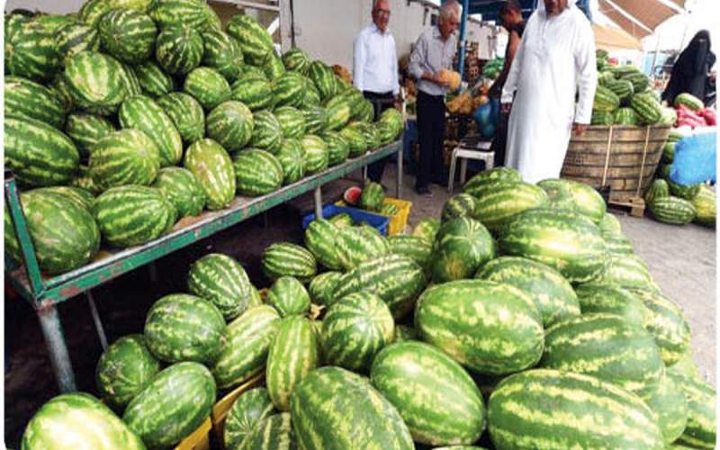 صادرات هندوانه به  ۲۰۸ میلیون دلار رسید