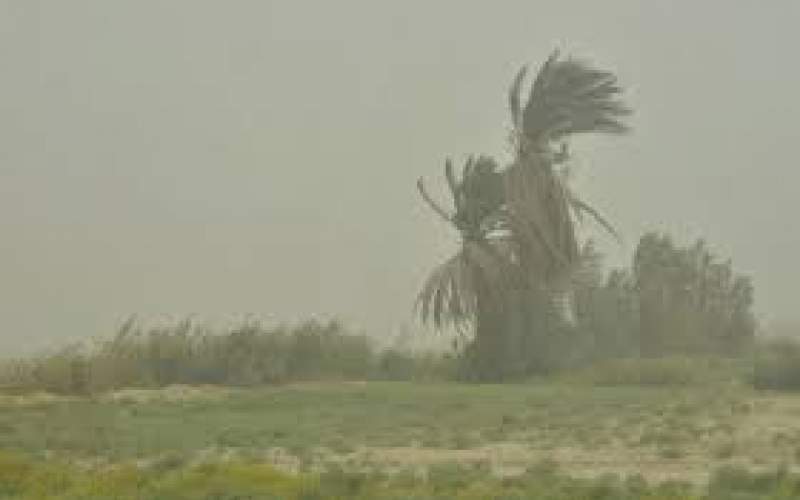 وزش باد نسبتا شدید در جنوب کشور