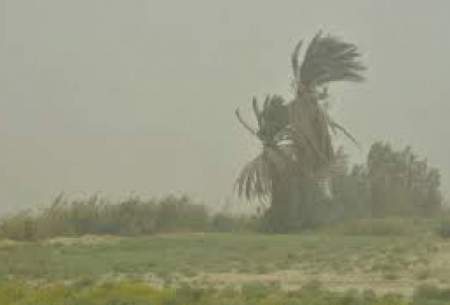 وزش باد نسبتا شدید در جنوب کشور