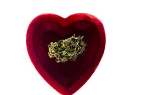 ماری‌جوآنا خطر حمله قلبی را افزایش می‌دهد