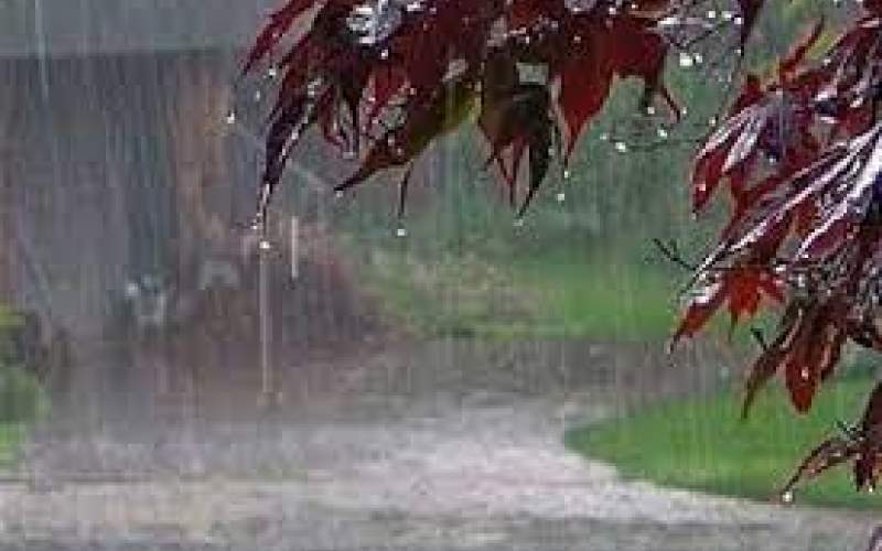 تداوم بارش باران در نوار شمالی کشور