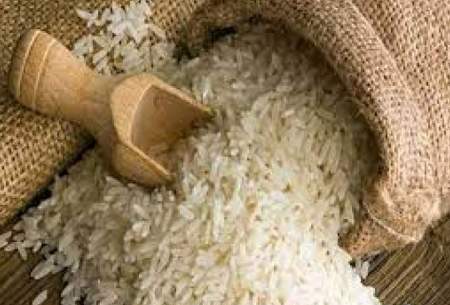 دولت رئیسی چه بلایی بر سر برنج آورد؟