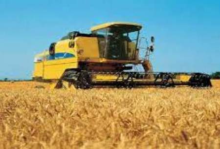 کاهش برداشت گندم در استان‌های جنوبی