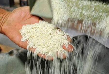 افزایش مجدد ۵ تا ۱۰ درصدی نرخ برنج