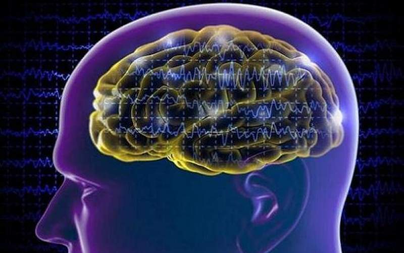 ضربه شدید مغزی زوال عقل را افزایش می‌دهد