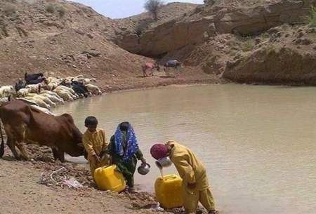 ۶ قربانی «هوتک» در یک هفته اخیر