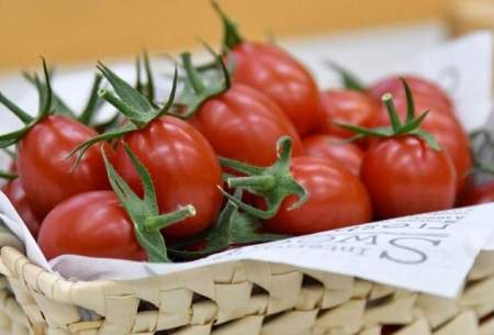 افزایش قیمت گوجه فرنگی و سیب زمینی