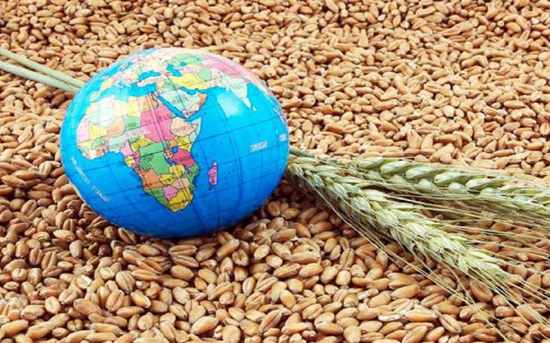 دلواپسی جهانی از بحران امنیت غذایی