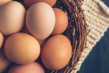 ممنوعیت صادرات تخم‌مرغ برداشته شد