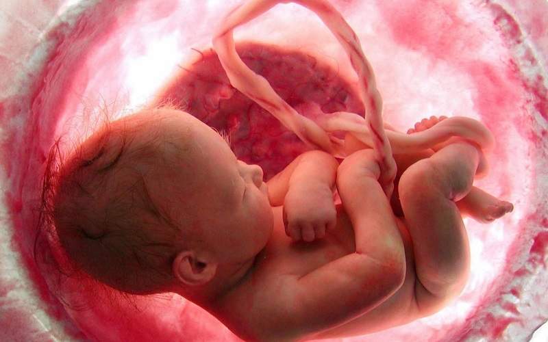 تاثیرافسردگی کرونای مادران بر مغز جنین