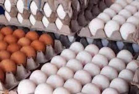 قیمت هر شانه تخم مرغ در بازار