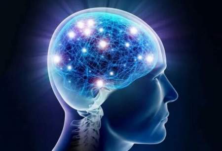 شناسایی عامل مهم در رشد سلول‌های مغزی