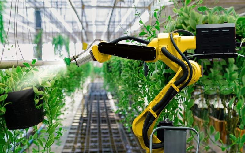 ربات‌های کشاورزی نگرانی‌های غذایی را حل می‌کنند