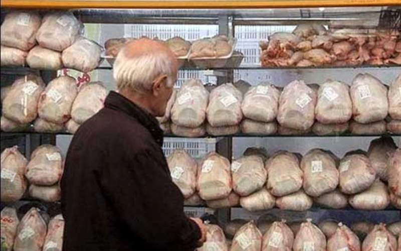 کاهش ۱۵ درصدی خرید مرغ تنها در یک ماه