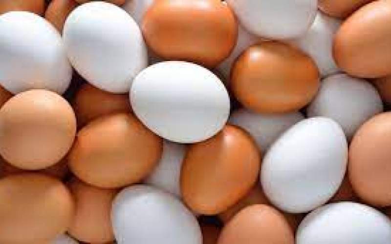 فروش تخم‌مرغ به ۵۰ درصد زیر نرخ واقعی