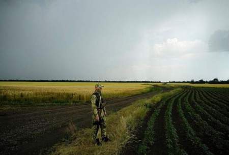 سرباز روسی بر سر مزارع گندم در اوکراین