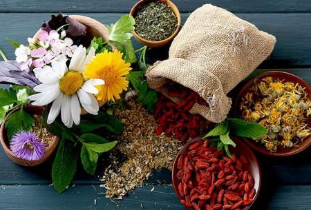 با خواص چند گیاه مفید در طب سنتی آشنا شوید