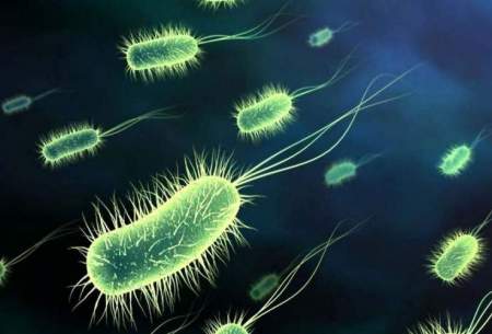 ۵ مورد ابتلا قطعی به وبا در ایران شناسایی شد