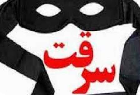 رونمایی از عجیب‌ترین شیوه دزدی در تبریز