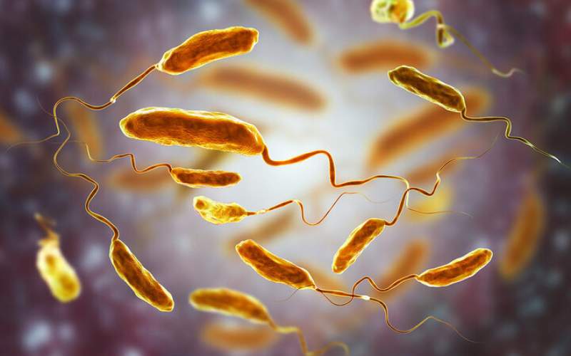 ۲۳ مورد مبتلا به وبا در کشور شناسایی شدند