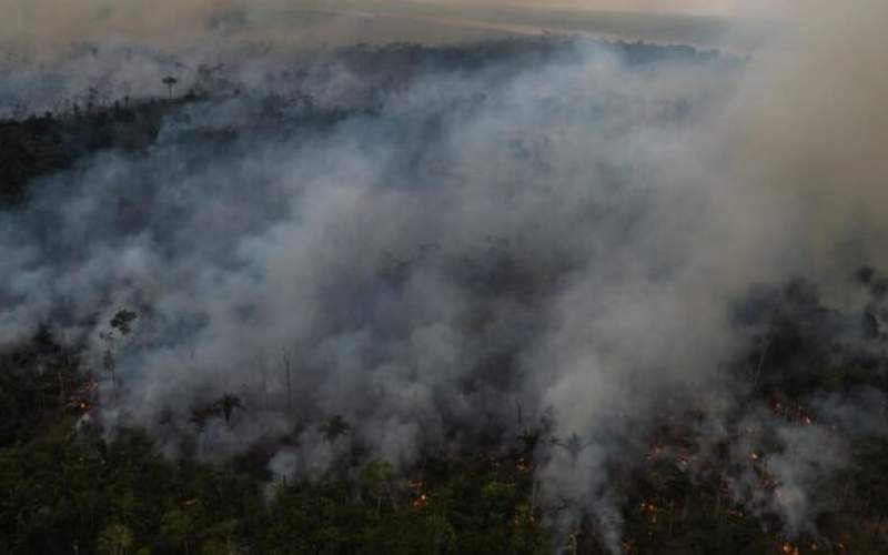 رکورد ۶ ماهه جنگل‌زدایی در برزیل شکسته شد