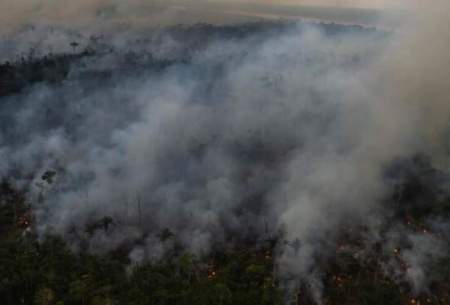 رکورد ۶ ماهه جنگل‌زدایی در برزیل شکسته شد
