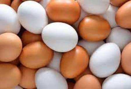 تخم مرغ ۱۰۰ هزار تومانی با قدرت خرید مردم همخوانی ندارد