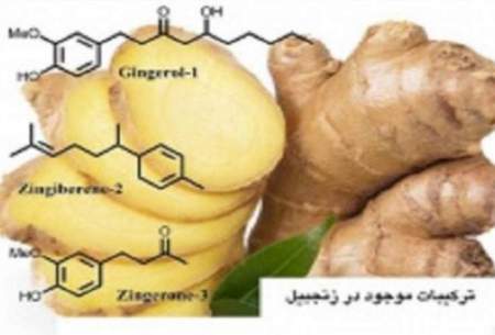 آثار زنجبیل و ترکیبات آن در درمان بیماری التهابی روده