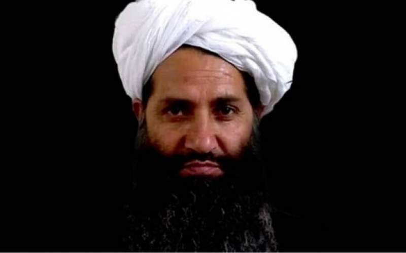 درخواست طالبان برای روابط حسنه با آمریکا