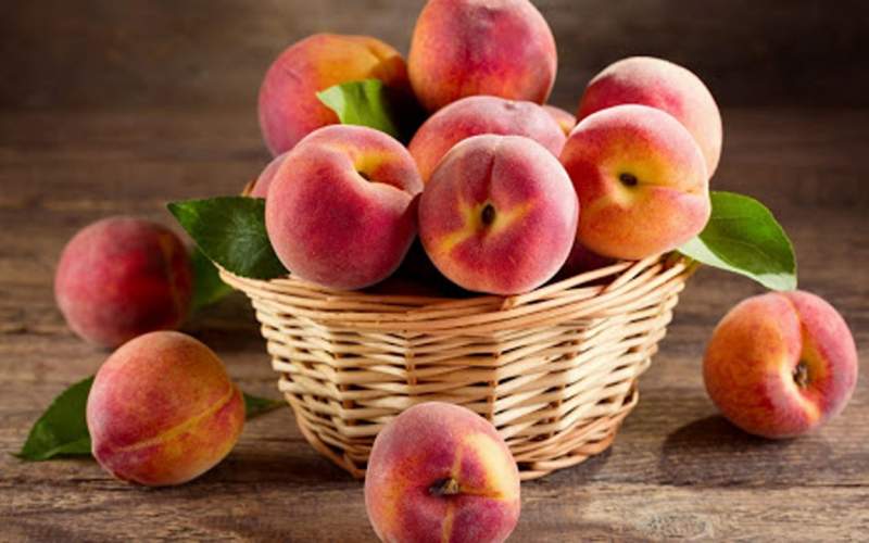 در تابستان از خوردن این میوه محبوب غافل نشوید