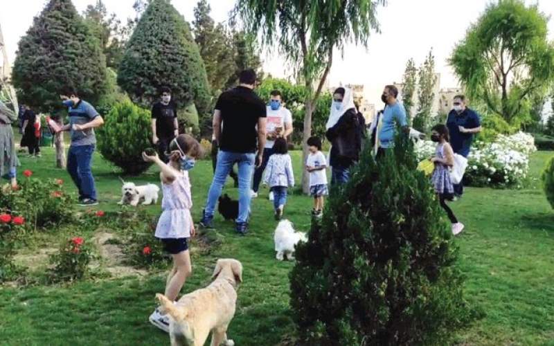 ورود سگ‌ها به بوستان‌های تهران ممنوع شد