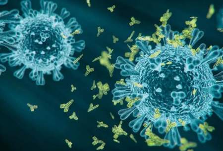 روند افزایشی موارد ابتلا به ویروس کرونا در تونس