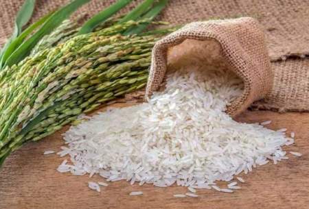 ضرورت واردات ماهانه حداقل ۱۵۰ هزار تن برنج