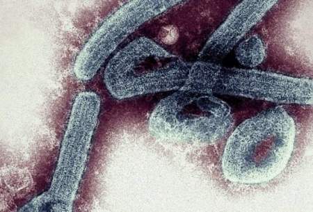 تایید اولین موارد ویروس ماربورگ در غنا