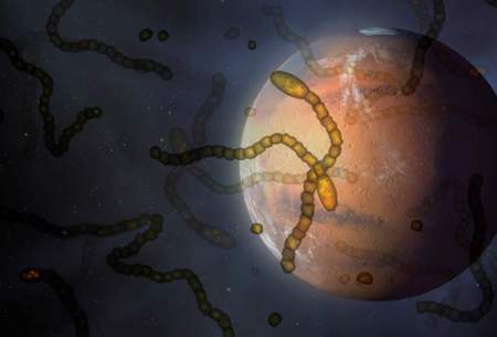 میکروب‌های باستانی، سرنخ‌هایی برای یافتن اشکال حیات بیگانه