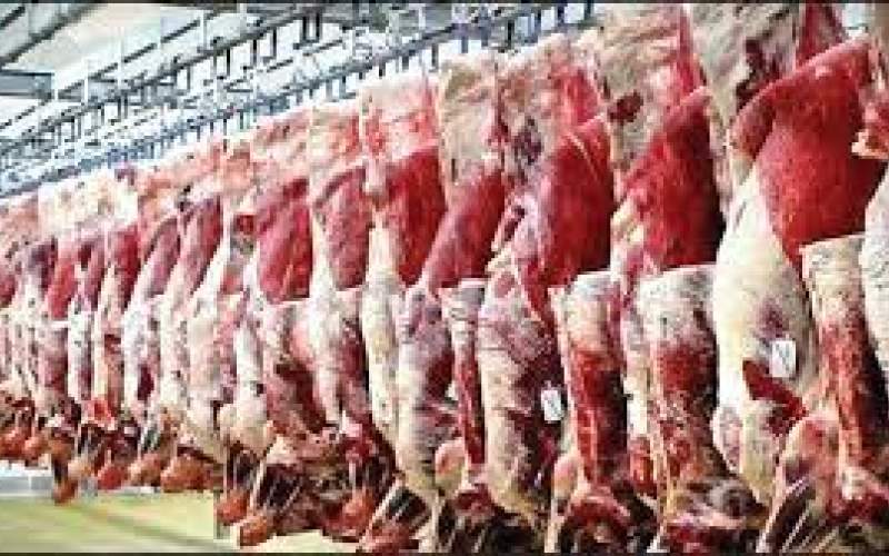 بهانه جدید برای گرانی گوشت در آینده نزدیک