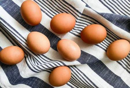 حقایقی درباره تخم مرغ که حیرت‌زده‌تان می‌کند